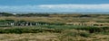 Colony of King penguins of ocean coastline in Chile