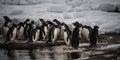 A colony of penguins huddling together on an icy shore, concept of Social bonding behavior, created with Generative AI