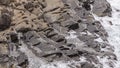 A colony of sea lions on the rocks of Kangaroo Island, Southern Australia