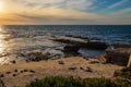 Colony of sea lions and their pups lay on La Jolla beach during sunset Royalty Free Stock Photo