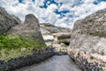 Colony of sea mussels on a stone