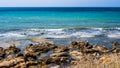 colony of seagulls on rocks with blue sea. Blue sky