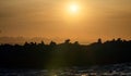 Colony of seals  Cape Fur Seals  on the rocky island in the ocean. Royalty Free Stock Photo