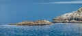 Colony of Steller sea lions bask in the sun