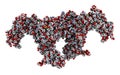 Colony-stimulating factor 1 (CSF-1) in complex with its receptor, hCSF-1R. 3D illustration