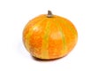 Coloquinte, squash, cucurbitaceae, pumpkin, on white background