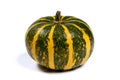 Coloquinte, squash, cucurbitaceae, pumpkin, on white background