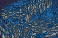 Color abstract motion, particle or random pattern generative art background. Backdrop, motion , web & surface. Royalty Free Stock Photo