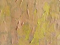 color abstraction texture painting yellow orange background canvas