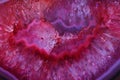 Color agate mineral background Royalty Free Stock Photo