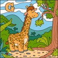 Color alphabet for children: letter G (giraffe)