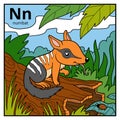 Color alphabet for children, letter N numbat