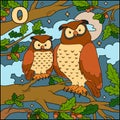 Color alphabet: letter O (owl)