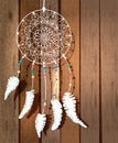 Color American Indians dreamcatcher with bird feathers and flora