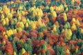The Color of Autumn. Royalty Free Stock Photo