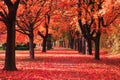 Color autumn forest