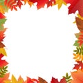 Color Autumn Frame