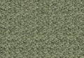 Color background bumpy green khaki texture stone concrete