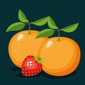 Color background of pair of oranges and one strawberry fruits Royalty Free Stock Photo