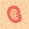 Color background pattern pregnancy icons with fetus human embryo growth in placenta Royalty Free Stock Photo