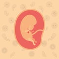 Color background pattern pregnancy icons with fetus human growth in placenta Royalty Free Stock Photo