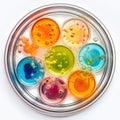 Color Bacteria Culture in a Petri Dish, Microorganisms, Petri Dish and Culture Media with Bacteria