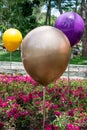 Color baloons and flowers in a park Royalty Free Stock Photo