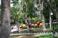 Color baloons and flowers in a park Royalty Free Stock Photo