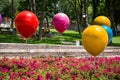 Color baloons and flowers in a park Royalty Free Stock Photo