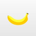 Color Banana fruit icon. Modern simple flat vegetarian sign. Eco food internet concept. Trendy yell