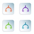 Color Bicycle brake calipers dual pivot icon isolated on white background. Bicycle brake wire. Set colorful icons in