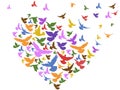Color birds flying with heart Royalty Free Stock Photo