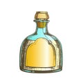 Color Blown Classic Mexican Tequila Glass Bottle Vector