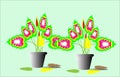 Color bonsai planting illustration Spotted plant Queen of plants and ornamental plants,