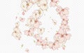 Color Branch Wedding Vector Transparent