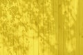 Color of 2021 Bright yellow. Shadow from the leaves on a beige board wall