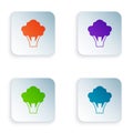 Color Broccoli icon isolated on white background. Set colorful icons in square buttons. Vector