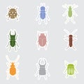 Color bugs and beetles stickers Royalty Free Stock Photo