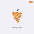 2 color Bunch of grapes concept vector icon. isolated two color Bunch of grapes vector sign symbol designed with blue and orange