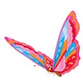 Color butterfly, isolated object on a white background, vector illustration Royalty Free Stock Photo