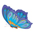 Color butterfly, isolated object on a white background, vector illustration Royalty Free Stock Photo