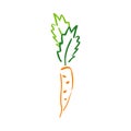 Color carrot vegetable leaf garden abstract vector plain picture. Simplified retro illustration. Wrapping or scrapbook
