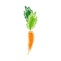 Color carrot vegetable leaf garden abstract vector plain picture. Simplified retro illustration. Wrapping or scrapbook