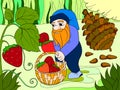 Color, cartoon, scene. Dwarf in the forest collects strawberries, berries.