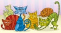 Color cats group