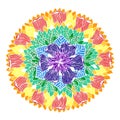 7 color of chakra mandala symbol concept, flower floral leaf, vector Royalty Free Stock Photo