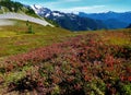 Fall colors on Ptarmigan Ridge trail in the North Cascadess Royalty Free Stock Photo