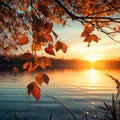 Color changing autumn leaves during sunset in the lake