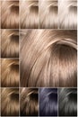 Color chart for tints. Dyed hair color samples arranged on a card in neat rows.