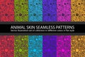 Color circles animal skin Seamless Pattern vector texture eps 10 illustration Leopard repeating background Royalty Free Stock Photo